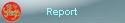 Report