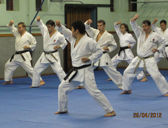 Murakami SA Tour  2012 - 2