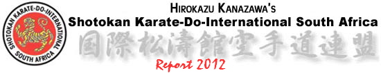 Report 2012